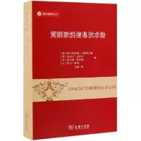 音像简明欧洲信息技术法/威科法律译丛