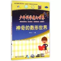 音像的数形世界/少年科学魔幻世界段伟文