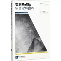 音像专利热点与审查实务研究陈玉华主编