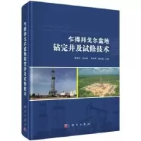 音像乍得邦戈尔盆地钻完井及试修技术罗淮东 等