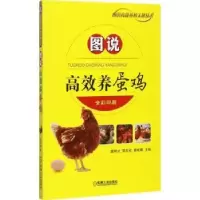 音像图说高效养蛋鸡魏刚才,郭忠欣,杨妮娜主编