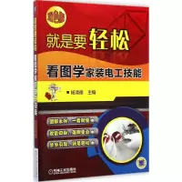 音像看图学家装电工技能杨清德 主编