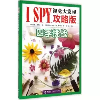 音像四季挑战