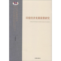 音像印度经济发展前景研究文富德 著