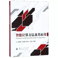 音像智能计算方法及其应用编者:徐克虎//孔德鹏//黄大山//徐越