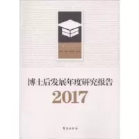 音像博士后发展年度研究报告:2017姚云,方芳,高艺轩等著