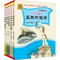 音像冰波纯美童话(注音全彩美绘版)(全5册)冰波