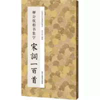 音像柳公权楷书集字宋词一百首李文采编著