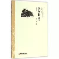 音像岔河村调查黄锐 主编