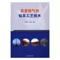 音像苏里格气田钻采工艺技术赵喜民,王振嘉 著