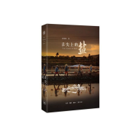 音像舌尖上的盐徐格林