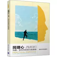 音像同理心 沟通、协作与创造力的奥秘(美)茵迪·扬(Indi Young)