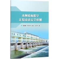 音像水闸底板脱空无损动态安全检测黄锦林[等]著