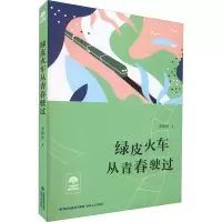 音像绿皮火车从青春驶过李锦秋