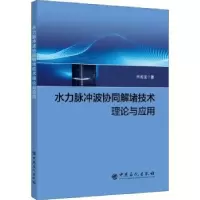 音像水力脉冲波协同解堵技术理论与应用何延龙著