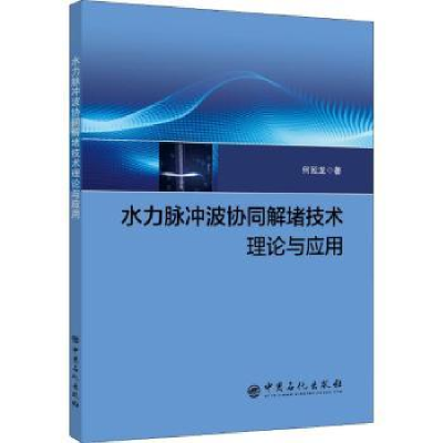 音像水力脉冲波协同解堵技术理论与应用何延龙著