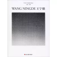 音像中国当代摄影图录 王宁德刘铮编