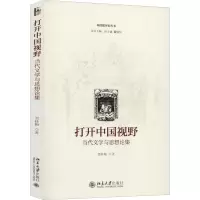 音像打开中国视野 当代文学与思想论集贺桂梅