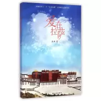 音像爱在拉萨高鸿