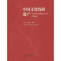 音像中国文化线路遗产丁援,宋奕 主编
