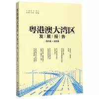 音像粤港澳大湾区发展报告(2018-2019)编者:庞川//林广志