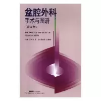 音像盆腔外科手术与图谱:普及版王天宝[等]主编