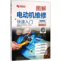 音像图解电动机维修快速入门:视频版韩雪涛主编