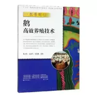 音像一本书明白鹅高效养殖技术韩占兵,赵金艳,倪俊娟主编