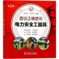 音像图说正确使用电力安全工器具:全彩版王存华,顾子琛编著