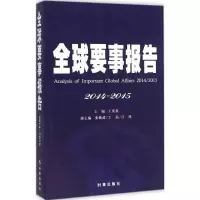 音像全球要是报告.2014-2015王宪磊 主编