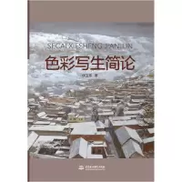 音像色彩写生简论伊卫东