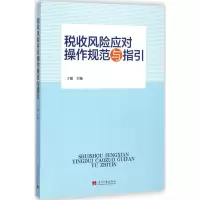 音像税收风险应对操作规范与指引丁源 主编