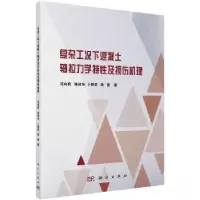音像复杂工况下混凝土轴拉力学特及损伤机理范向前[等]著