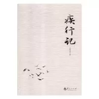 音像疾行记王新宪著