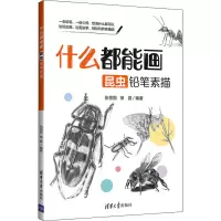 音像什么都能画 昆虫铅笔素描张恒国,邹晨 编
