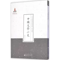 音像中国文学小史赵景深 著;许嘉璐 丛书主编