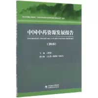 音像中国资源发展报告(2018)编者:王国强