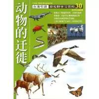 音像30:动物的迁徙胡妙芬