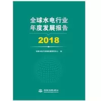 音像全球水电行业年度发展报告:2018水电可持续发展研究中心