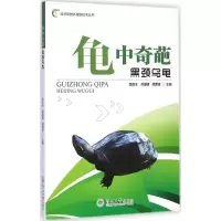 音像龟中奇葩李贵生,邓德明,顾博贤 主编