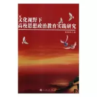 音像文化视野下高校思想政治教育实践研究常佩艳
