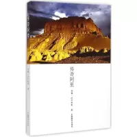 音像传奇阿里古格·次仁加布 著