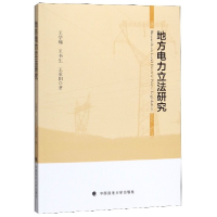 音像地方电力研究王学棉//王书生//王重阳