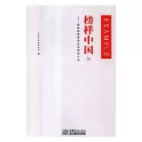 音像榜样中国:一部值得尊重的企业家奋斗史:Ⅵ中国文化信息协会编