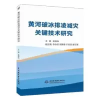 音像河破排凌减灾关键技术研究孟闻远主编