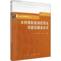 音像木材微预处理及功能化制备技术傅峰,吕少一,胡拉