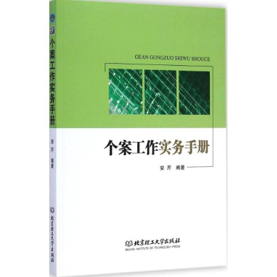 音像个案工作实务手册安芹 编著