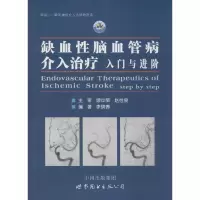 音像缺血脑血管病介入治疗李晓青 编著
