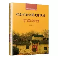 音像把农村建设得更像农村:丁李湾村宋微建 著,凤凰空间 出品