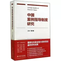 音像中国案例指导制度研究陈兴良